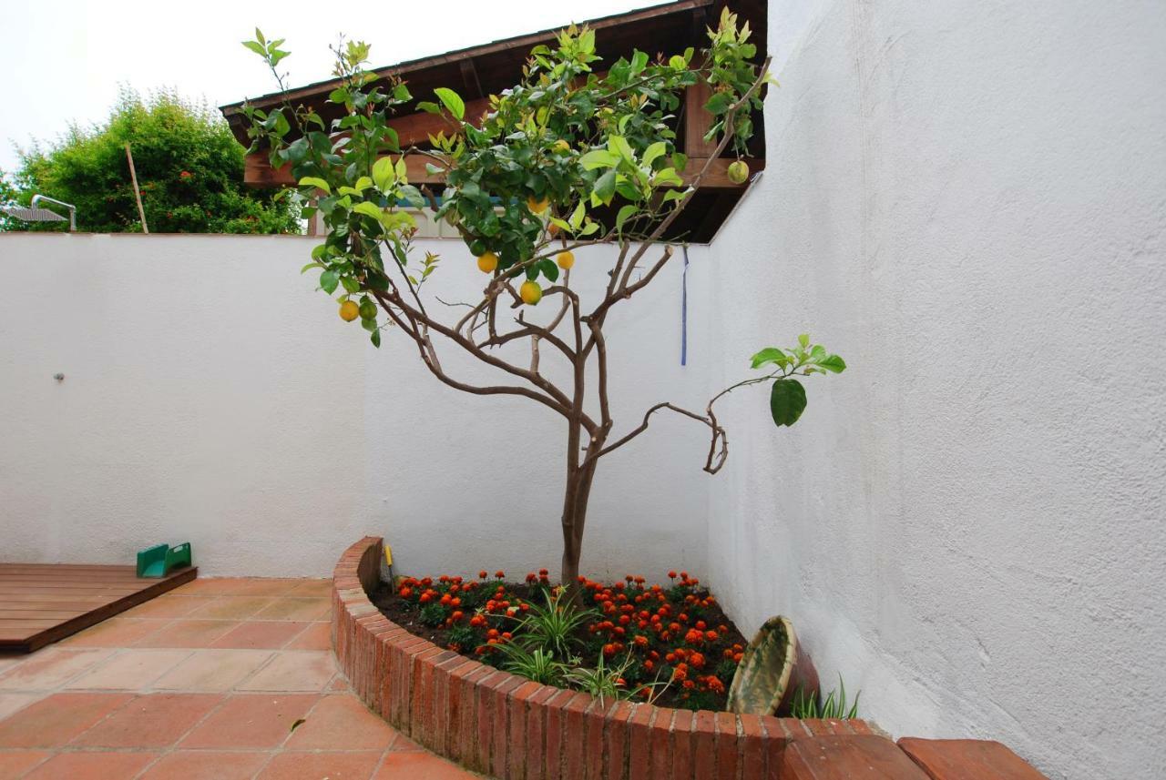 The Painter'S Home Vilassar De Mar Bagian luar foto